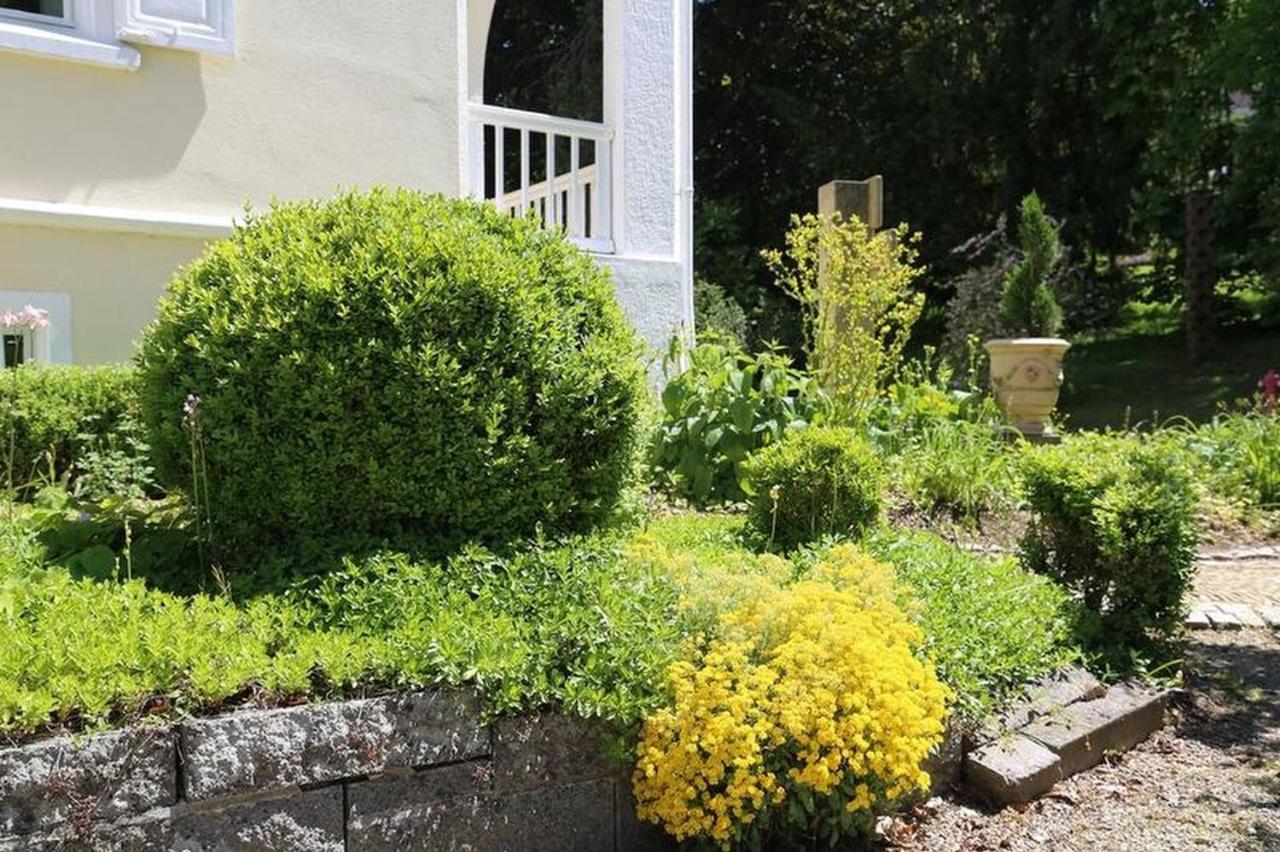 Villa Hedwig Badenweiler Ngoại thất bức ảnh